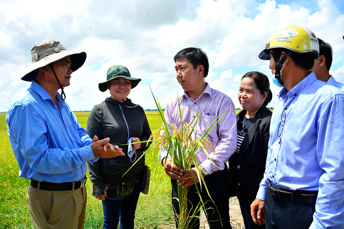 >Bài 2: Thúc đẩy liên kết, gia tăng giá trị hạt gạo